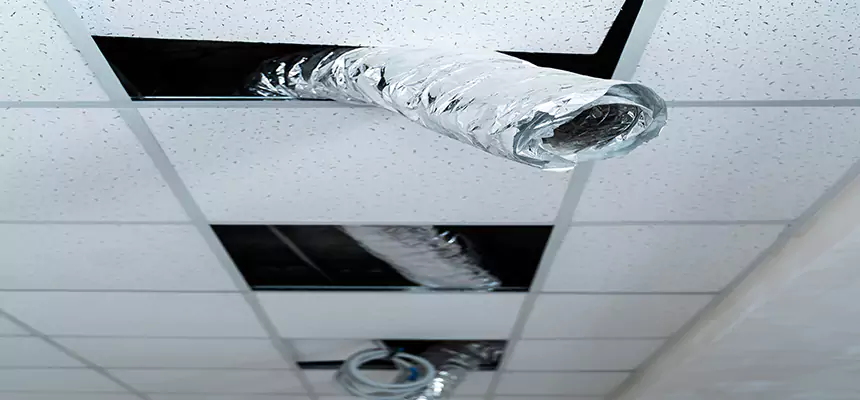 Affordable HVAC Sanitizing After Pest Removal in Temecula