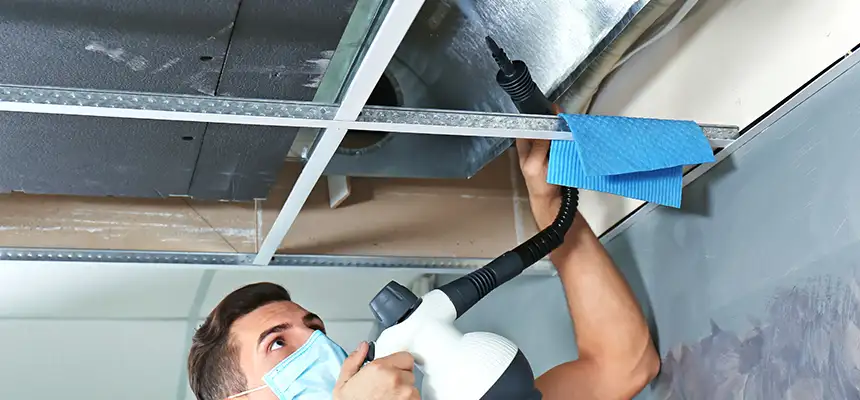 Our Air Duct Rodent Removal Services in Temecula, CA