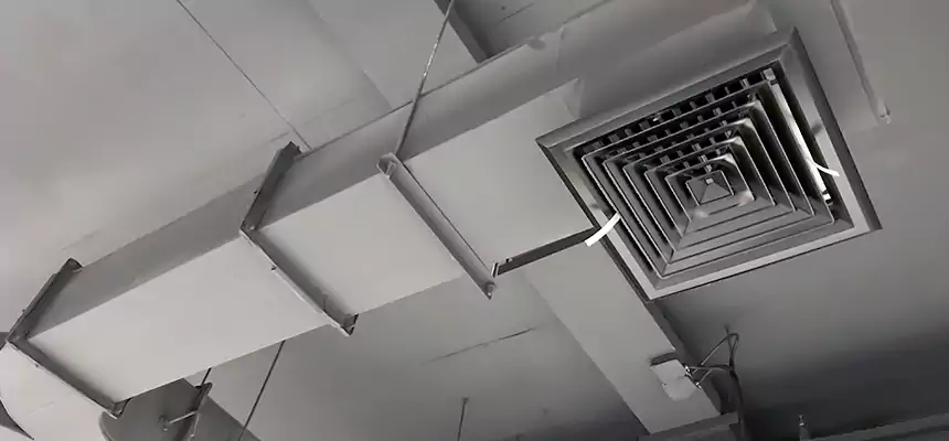 Restorative Allergy Relief Vent Cleaning – Coil, Blower & Housing Detail in Temecula