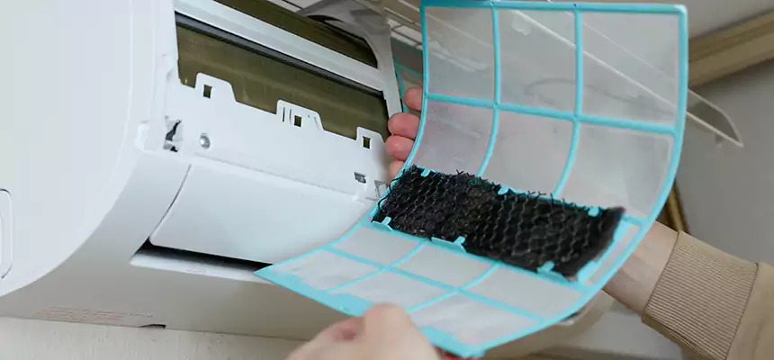 Gentle Ductwork Odor-Control Pet Dander Duct Cleaning in Temecula, CA