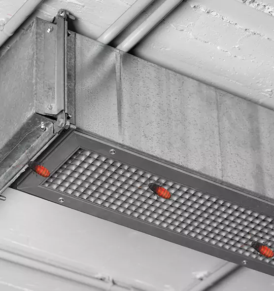 Affordable Insect Removal from Air Ducts in Temecula, CA