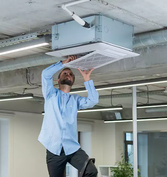 Advanced Rodent Droppings In Vents in Temecula, CA