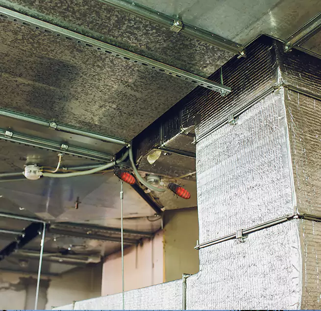 Why Homeowners & Businesses Trust Us in Temecula, CA?