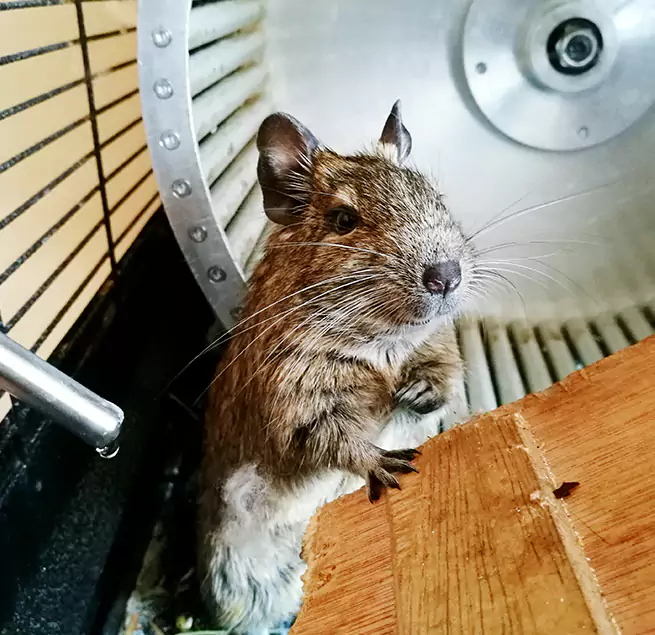 Why Homeowners & Businesses Trust Us Temecula, CA