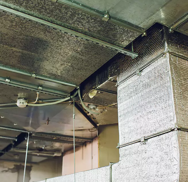 Why Homeowners & Businesses Trust Us in Temecula, CA?